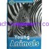 Oxford Read and Discover Level 1 - Young Animals