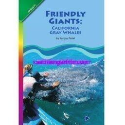 Friendly Giants - California Gray Whales