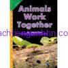 Animals Work Together