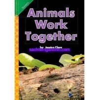 Animals Work Together
