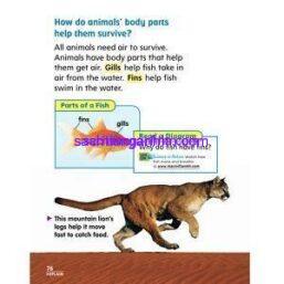 California Science 1 chapter 2 Animals and Their Needs ebook