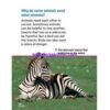 California Science 1 chapter 3 Plants and Animals Together ebook