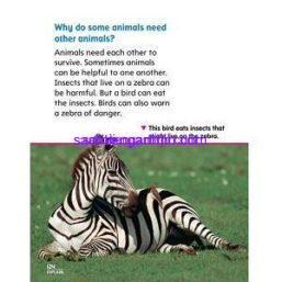 California Science 1 chapter 3 Plants and Animals Together ebook