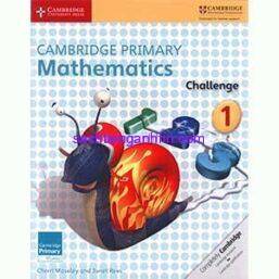 Cambridge-Primary-Mathematics-Challenge-1