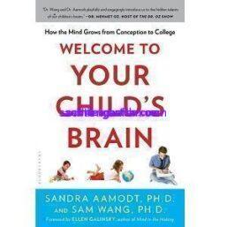 Welcome to Your Childs Brain
