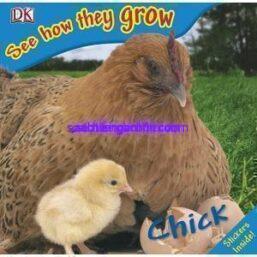 See How They Grow Chick