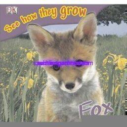 See How They Grow Fox