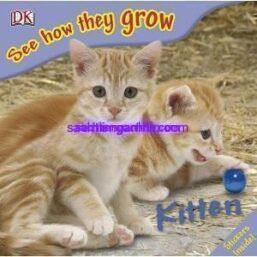 See How They Grow Kitten