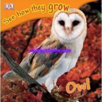 See How They Grow Owl