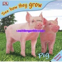 See How They Grow Pig