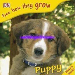 See How They Grow Puppy
