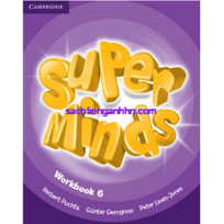 Super Minds 6 Workbook