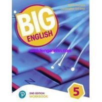 Big English 5 American Workbook 2nd Edition