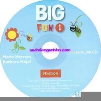 Big Fun 1 Class Audio CD A