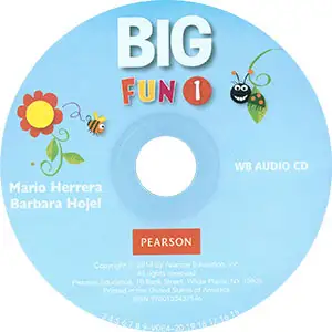 Big Fun 1 Workbook Audio CD