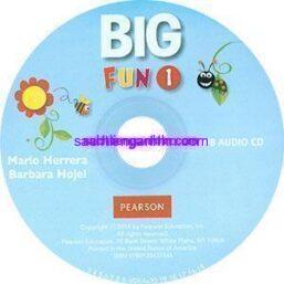 Big Fun 2 Workbook Audio CD