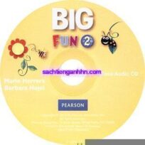 Big Fun 2 Class Audio CD