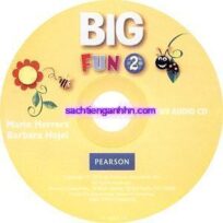 Big Fun 2 Workbook Audio CD