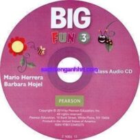 Big Fun 3 Class Audio CD