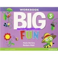 Big Fun 3 Workbook