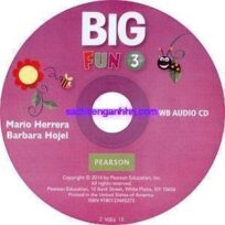 Big Fun 3 Workbook Audio CD