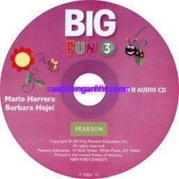 Big Fun 3 Workbook Audio CD
