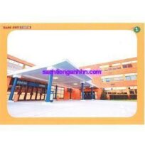 Hang Out Starter Flashcards