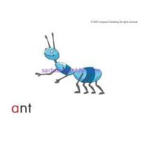 Sounds-Great-1-Flash-Card