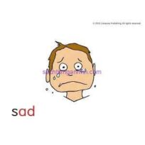 Sounds-Great-2-Flash-Card