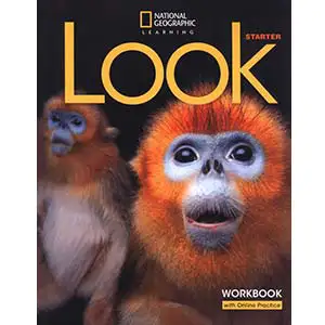 Look American Starter Workbook