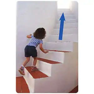 Super Minds 2nd Edition 3 Flashcards