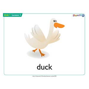 Share It! 2 Flashcards